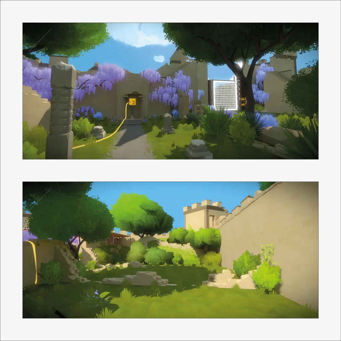 The Witness